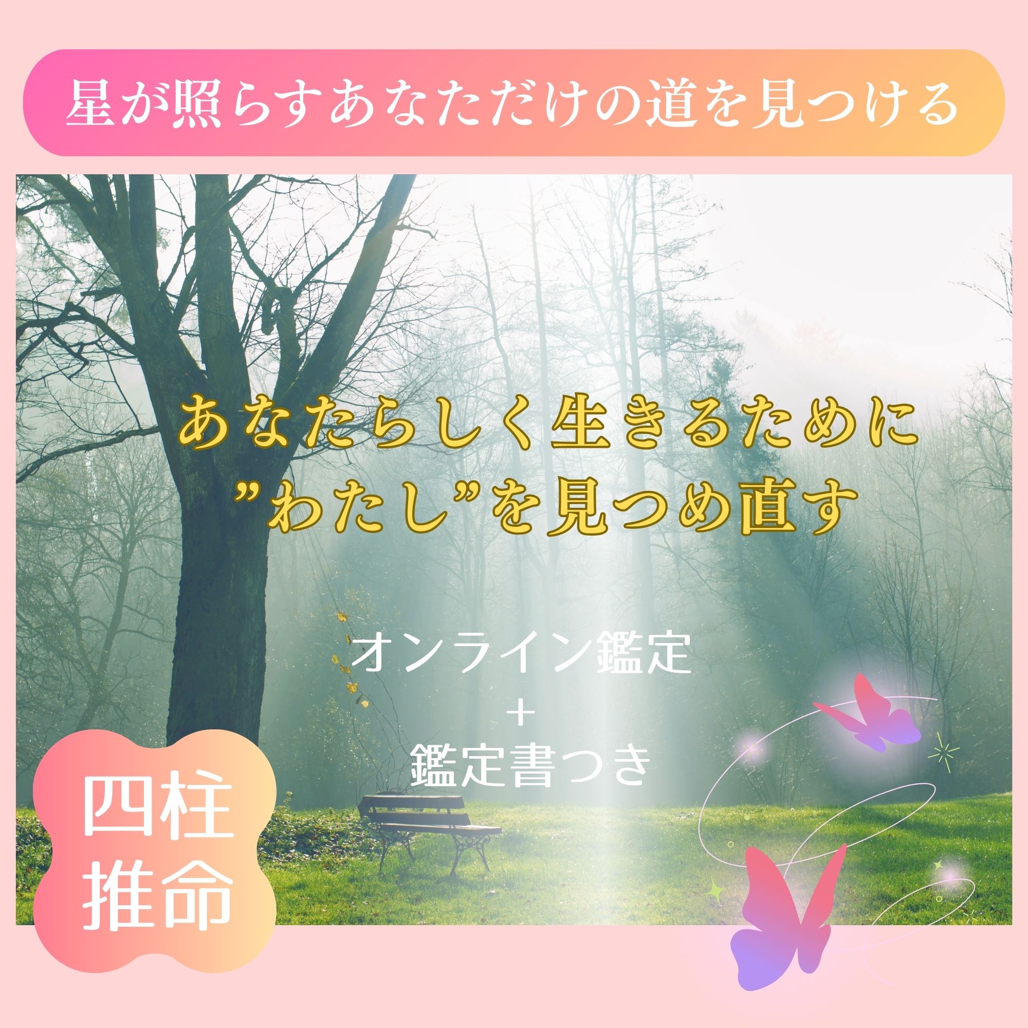https://d1i4xkpmczcais.cloudfront.net/service/101147/83b3365190f3582c5aae75dc63cdf6b0.jpeg