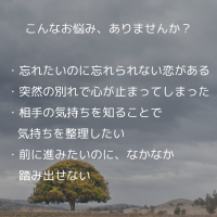 https://d1i4xkpmczcais.cloudfront.net/service/84184/mini/573db3058a7e4ca6ecdecf9f07c6c8c0.png