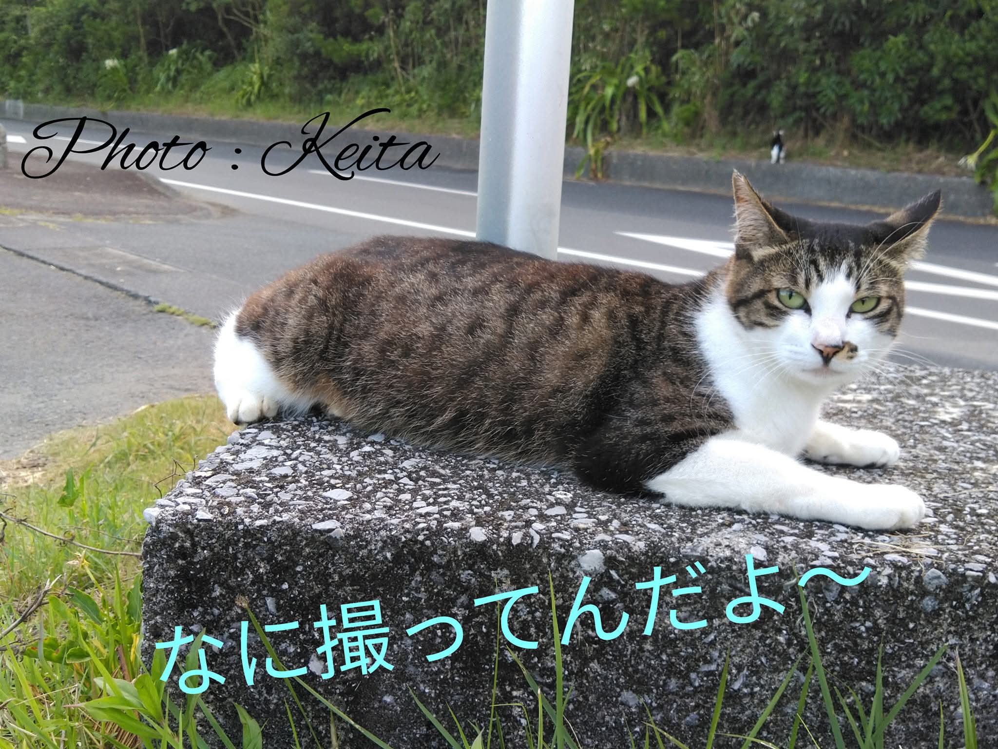 https://d1i4xkpmczcais.cloudfront.net/service/95257/2de942b7e855c7afded9f2d067d743a1.jpeg