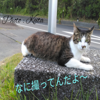 service_img